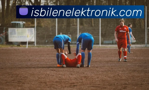 mk中国官方官网平台生态图